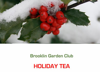 Holiday Tea